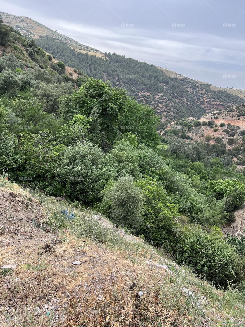 Beautiful picture of me nature from the top of the mountain