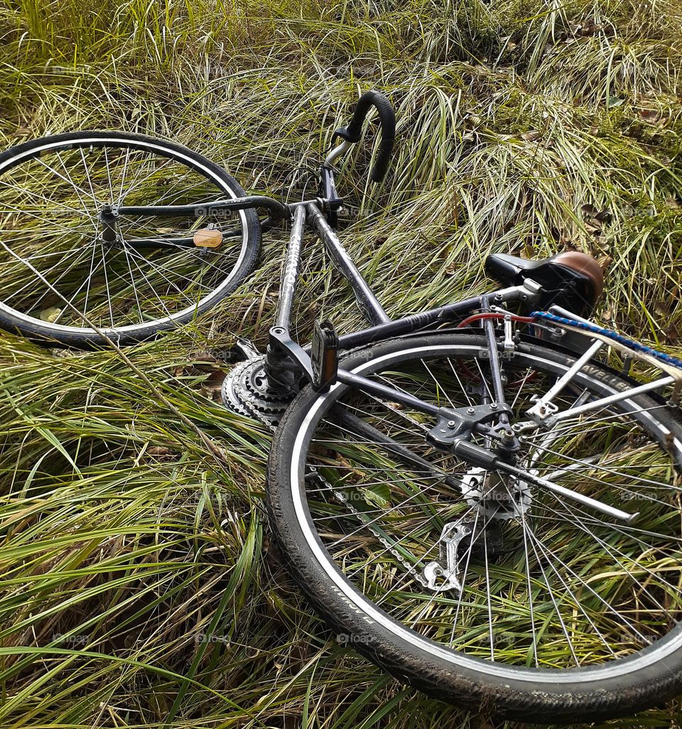 A lonely bicycle among wild greenery in field
