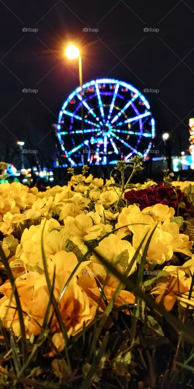 color