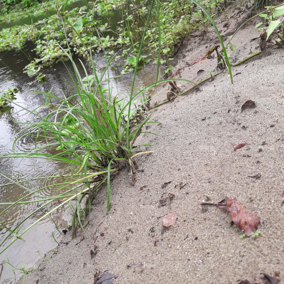 Injoy with bank of river.