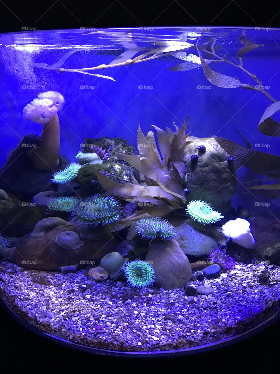 A day at the aquarium 