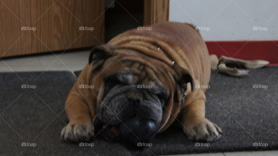 Blaze doing what he does, not much