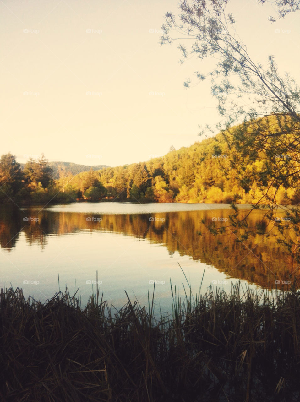 Spring Lake in Santa Rosa, California.