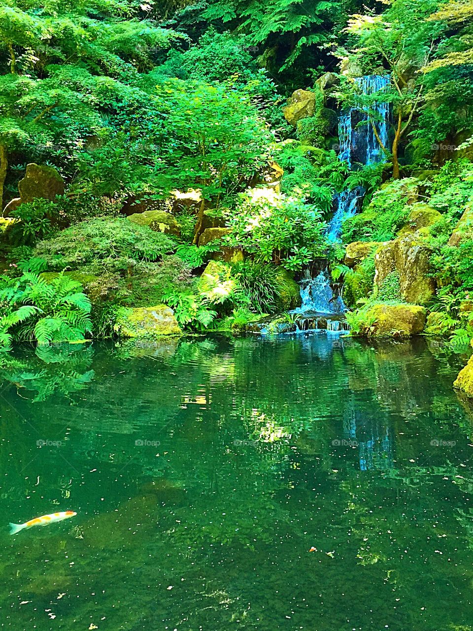 Japanese Garden Portland, Oregon 