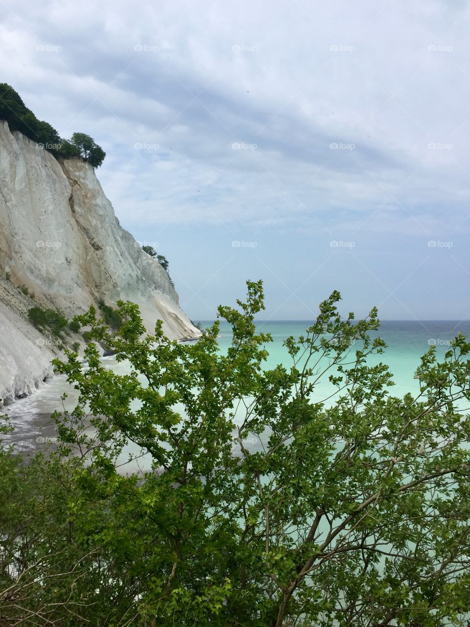 Møns klint