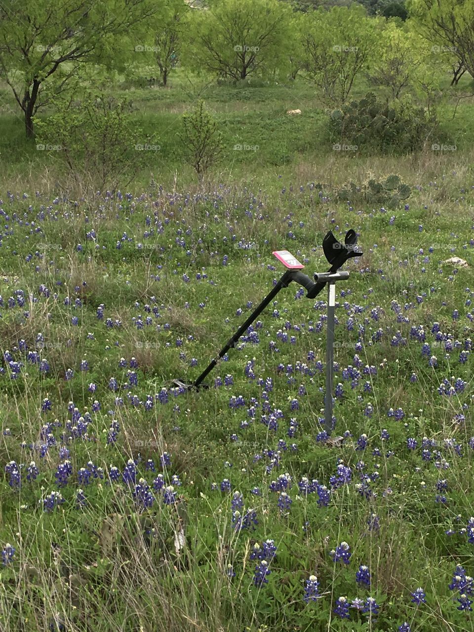 Metal detecting a Texas ghost town.....Williams Ranch, Texas.