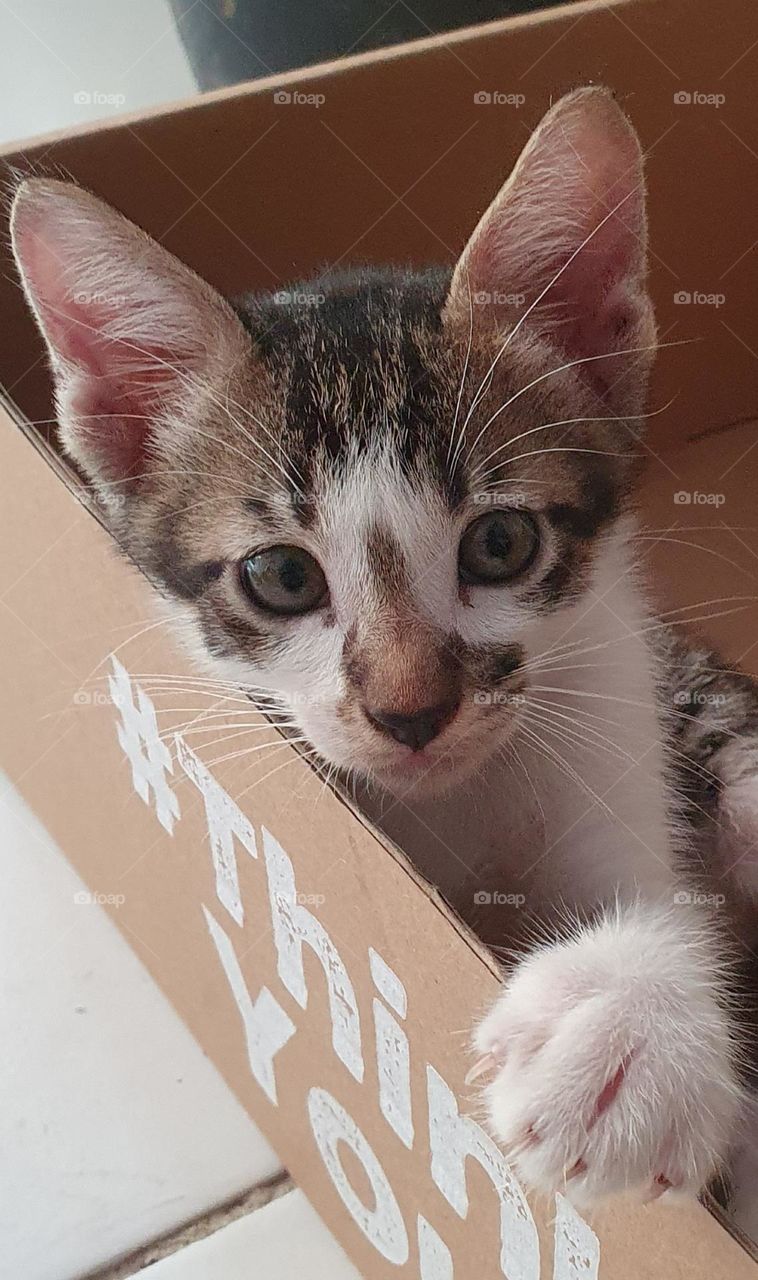 Editors' Choice : Photo of the week