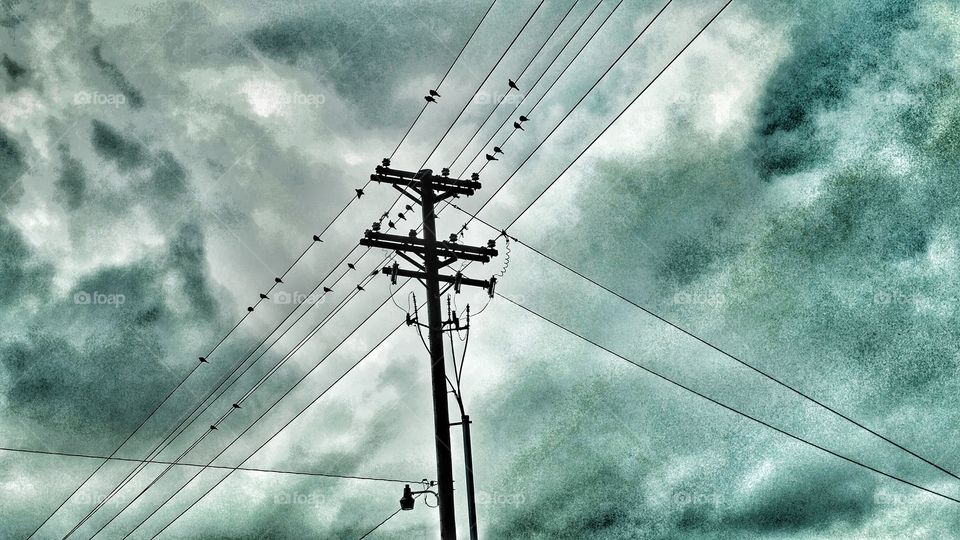weathering the storm on the wire