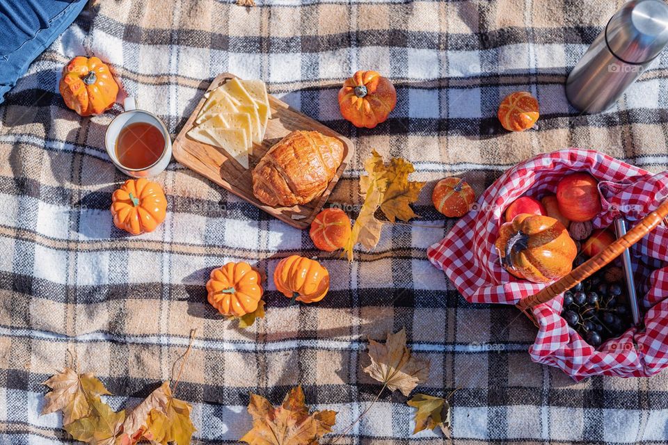 picnic in the park