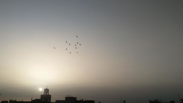 Behind the minaret are flocks of pigeons flying in the sky depositing the sunset.