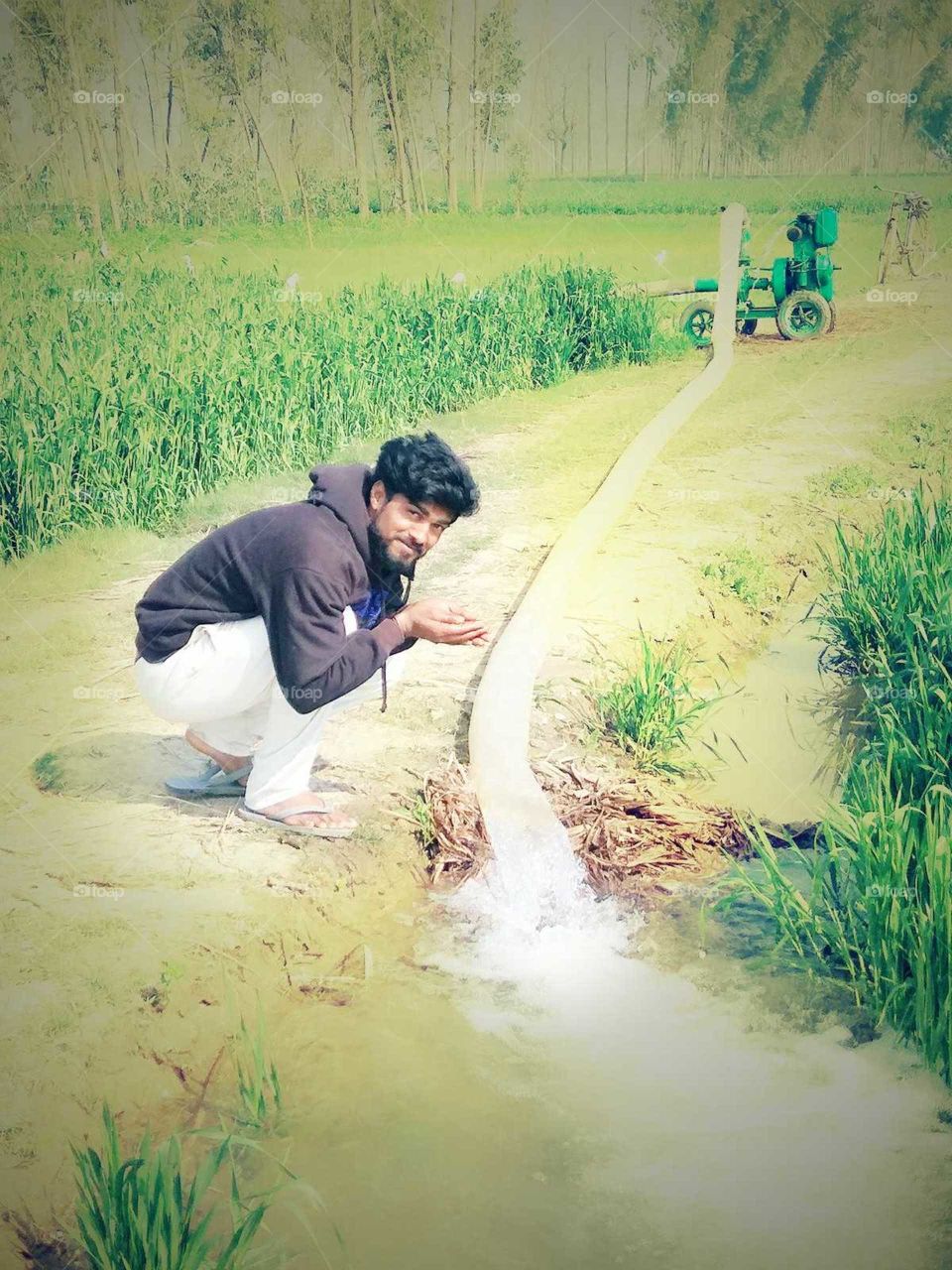 attitude...the summer season day