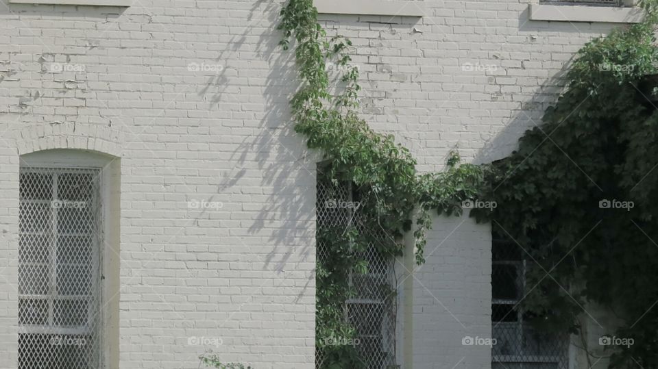 Abandoned... Commons of TC