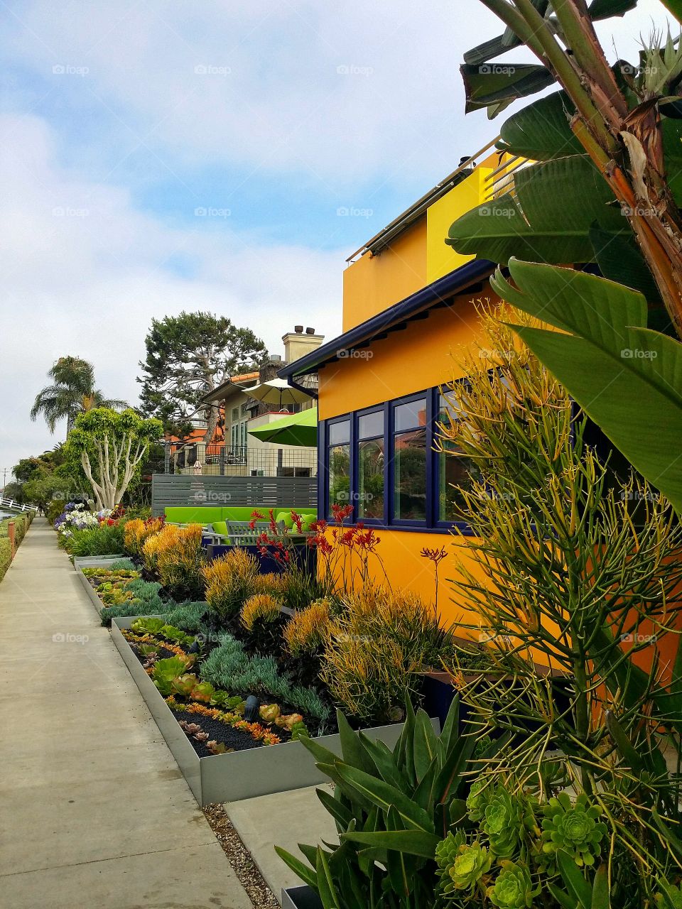 Colorful homes along the Historic Canal District in Venice, California.