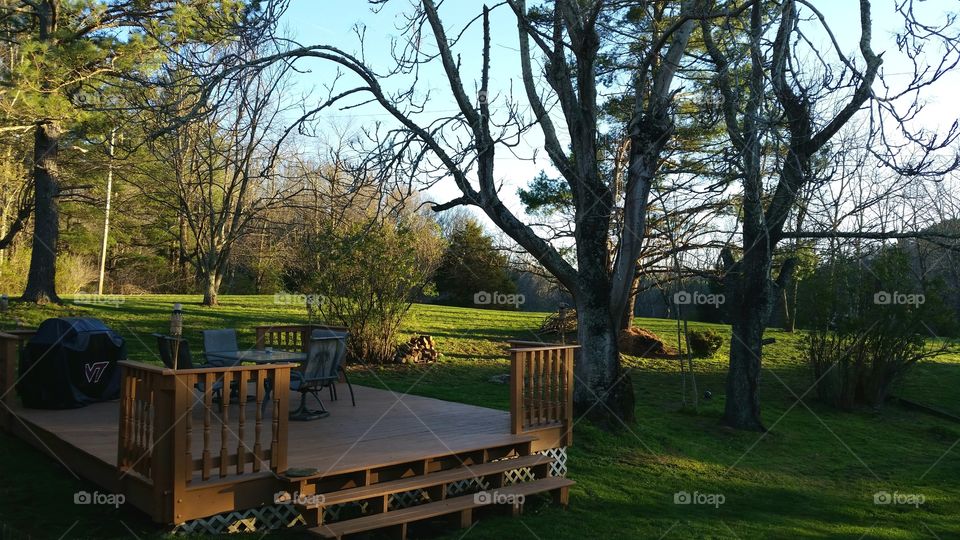 deck view of the landscape