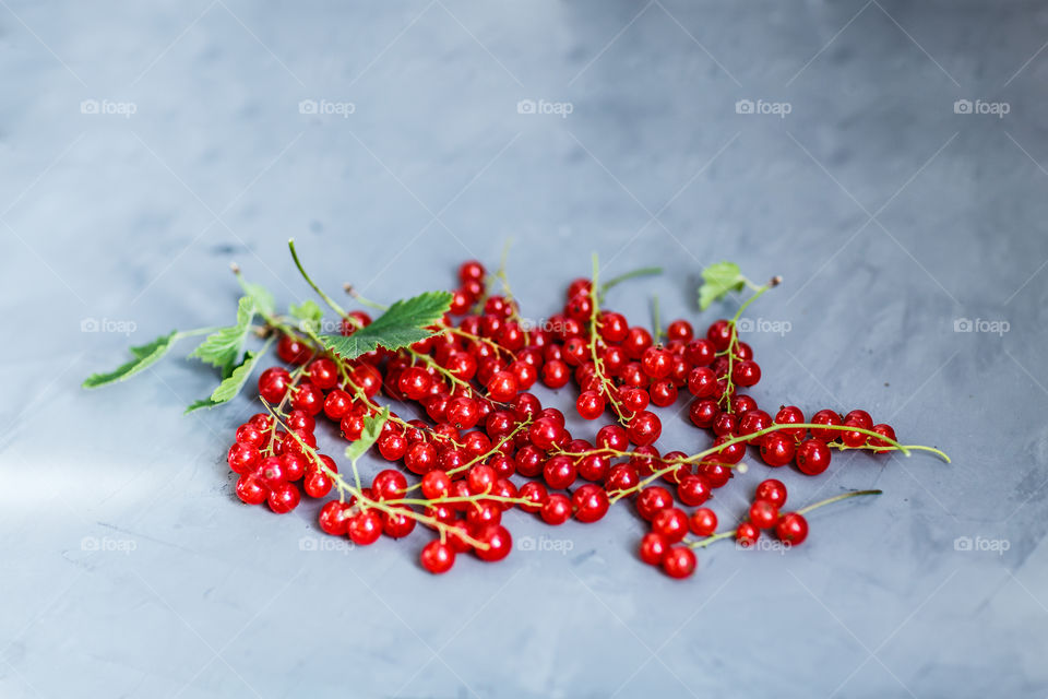 Fresh red currant on gray background 