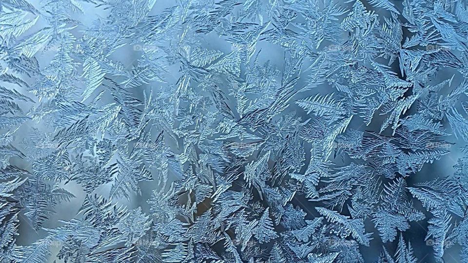 Ice crystals that formed on a pane of glass.