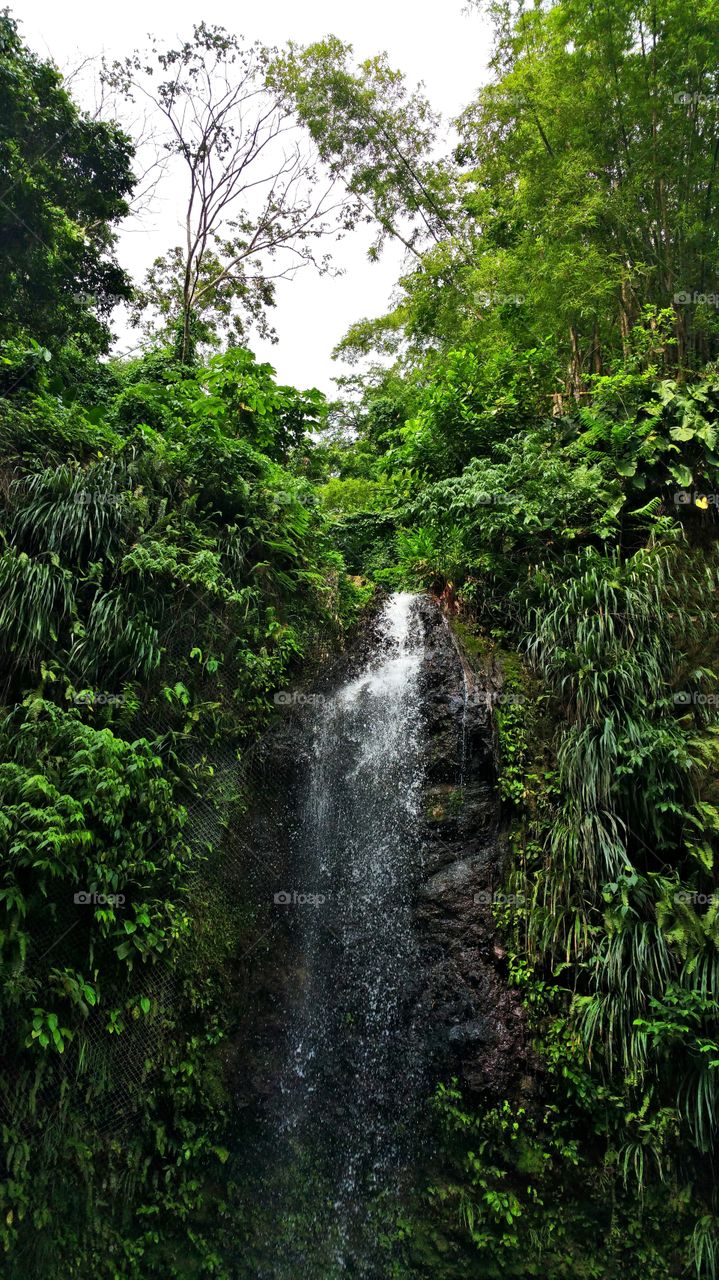Diamond botanical falls, St Lucia
