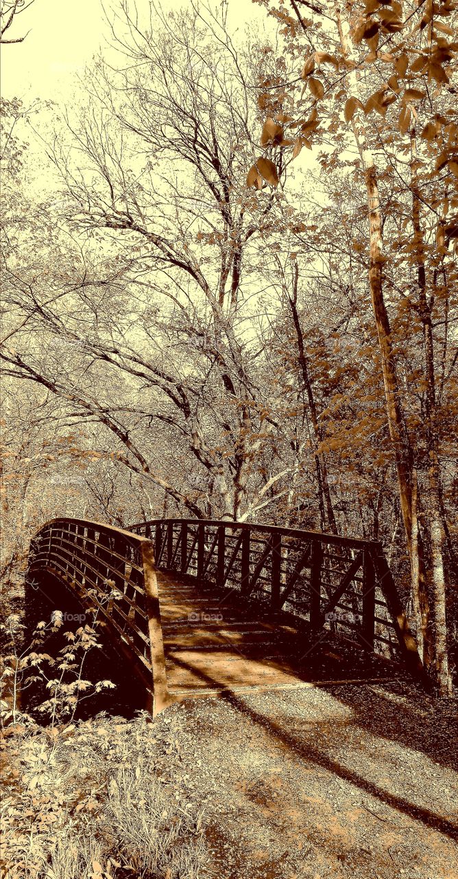monochrome beautiful bridge in Minnesota forest