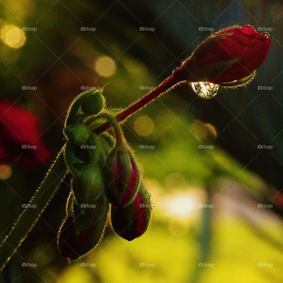 Water drop reflection