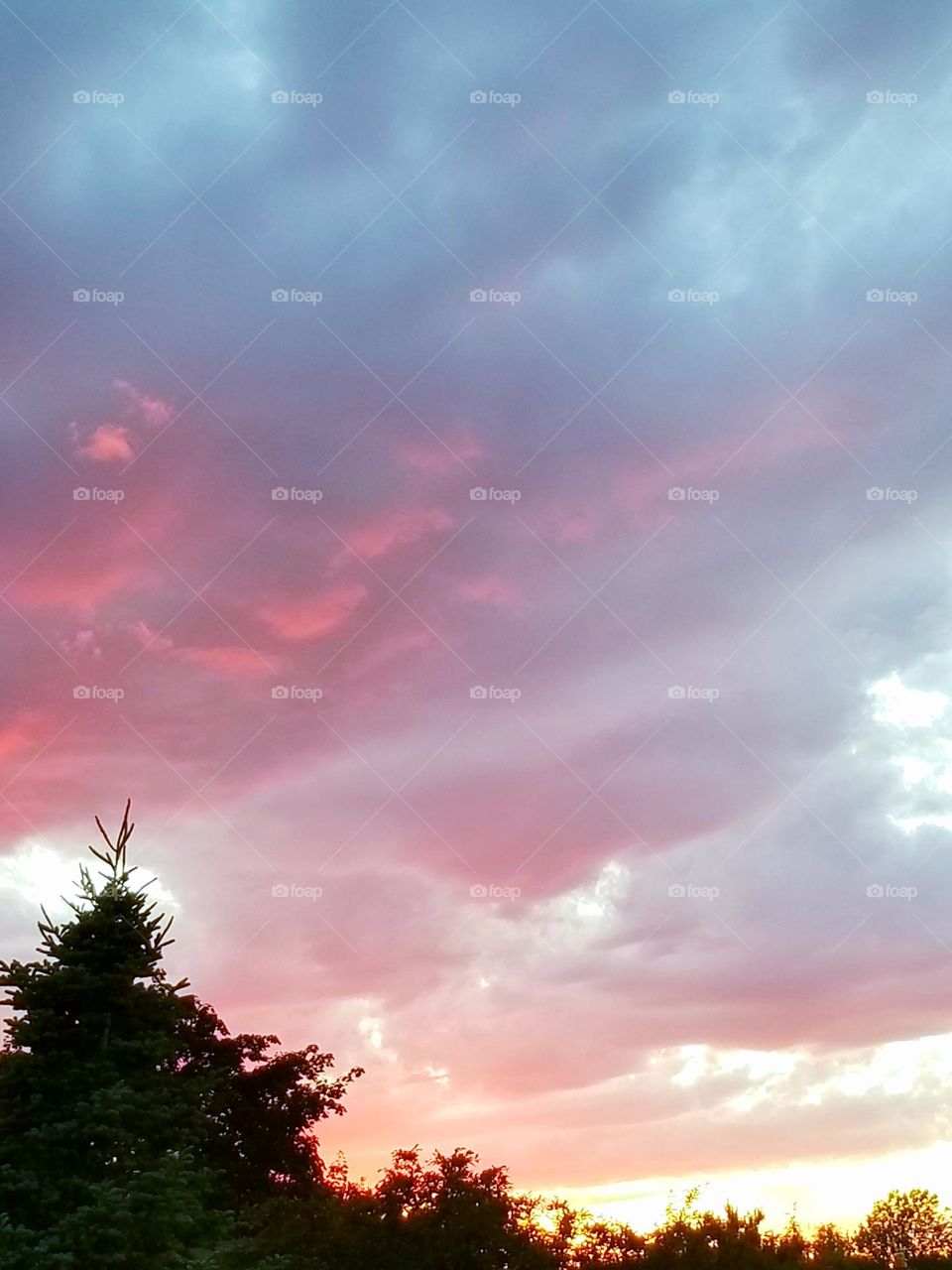 Evening sky