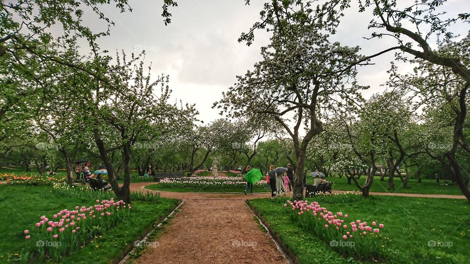 Garden in the center of Moscow