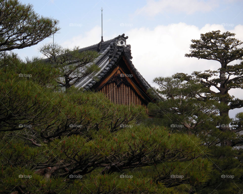 Rooftop in Kyoto
