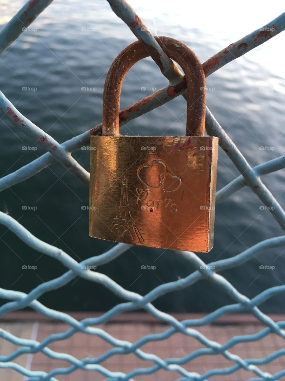 Found out the meaning of these locks being placed down at our pier. They Represent never ending love between couples. Paris is where it all began and this was my favorite lock I found!