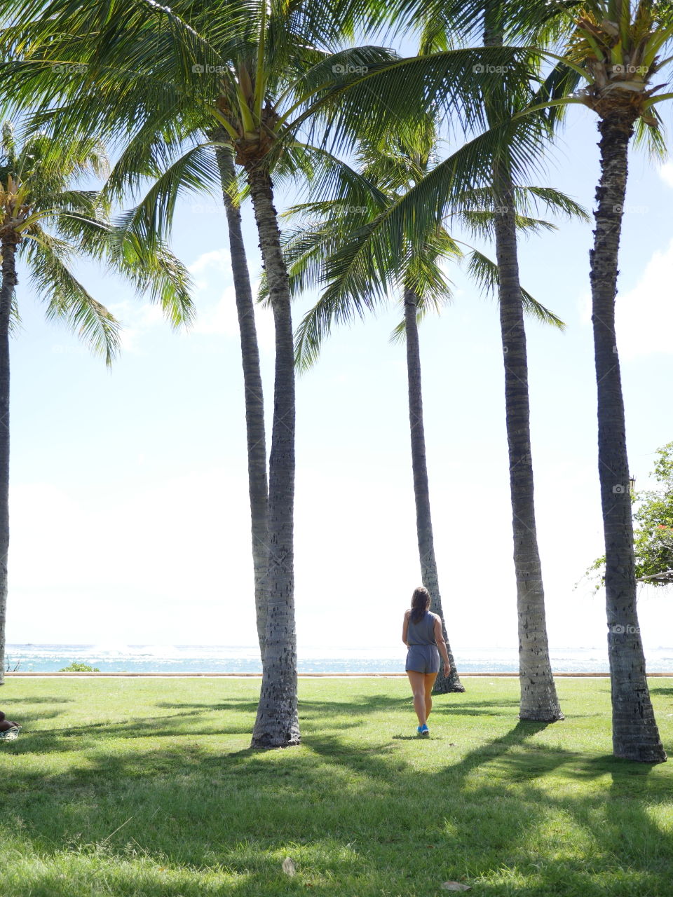 Walking between green palm trees in the park at the. Each in Hawaii 