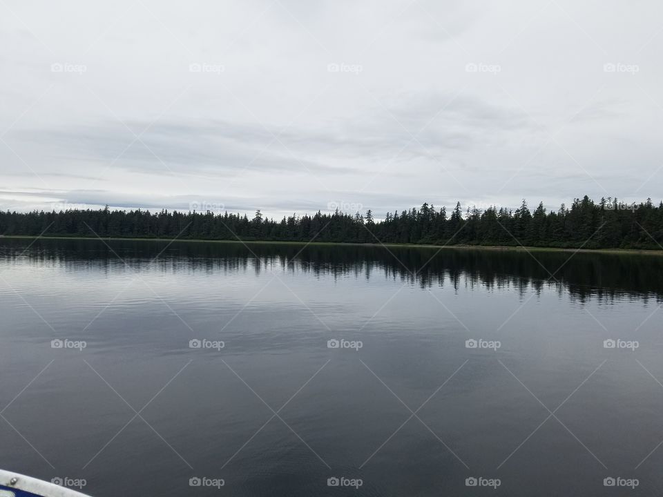 View from the hunting boat