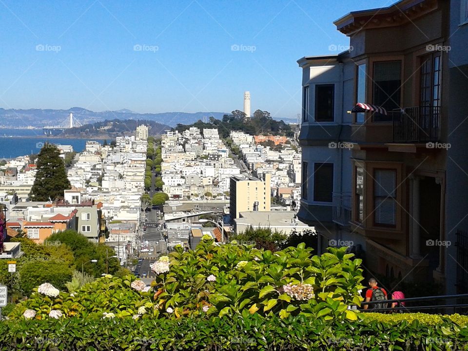 San Francisco view from Lombard street 
