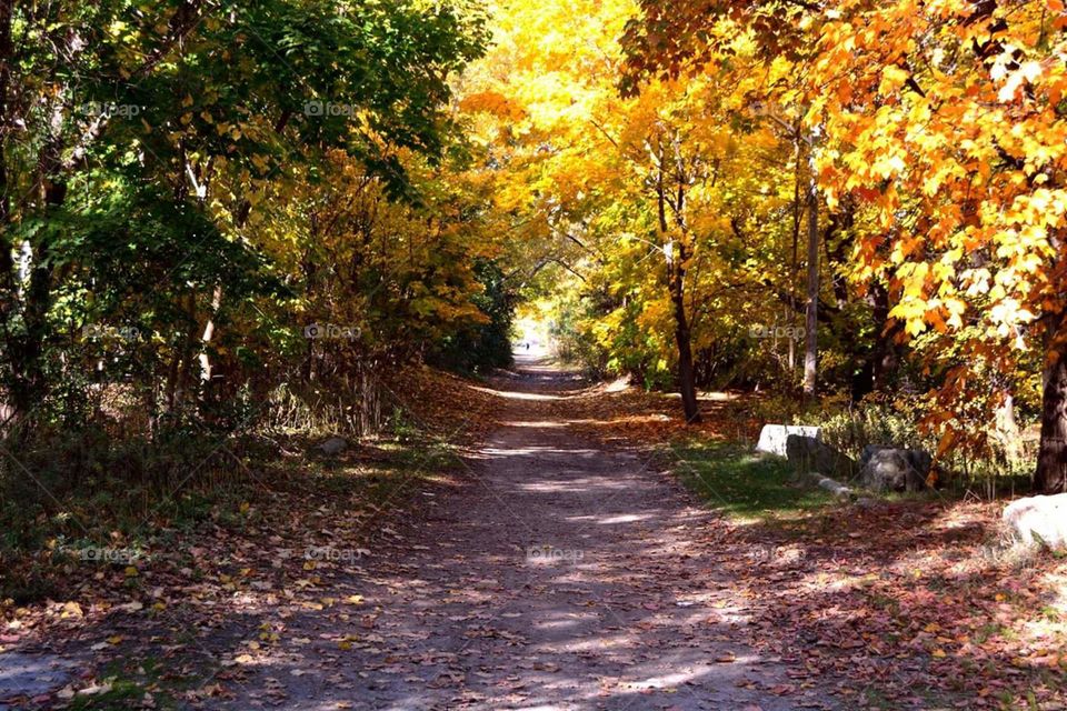 fall trail colours
