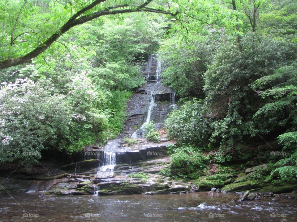 Waterfall surrounded by trees 