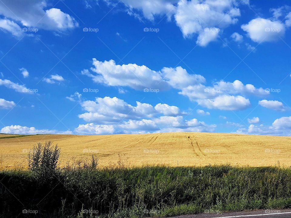 landscape of hills