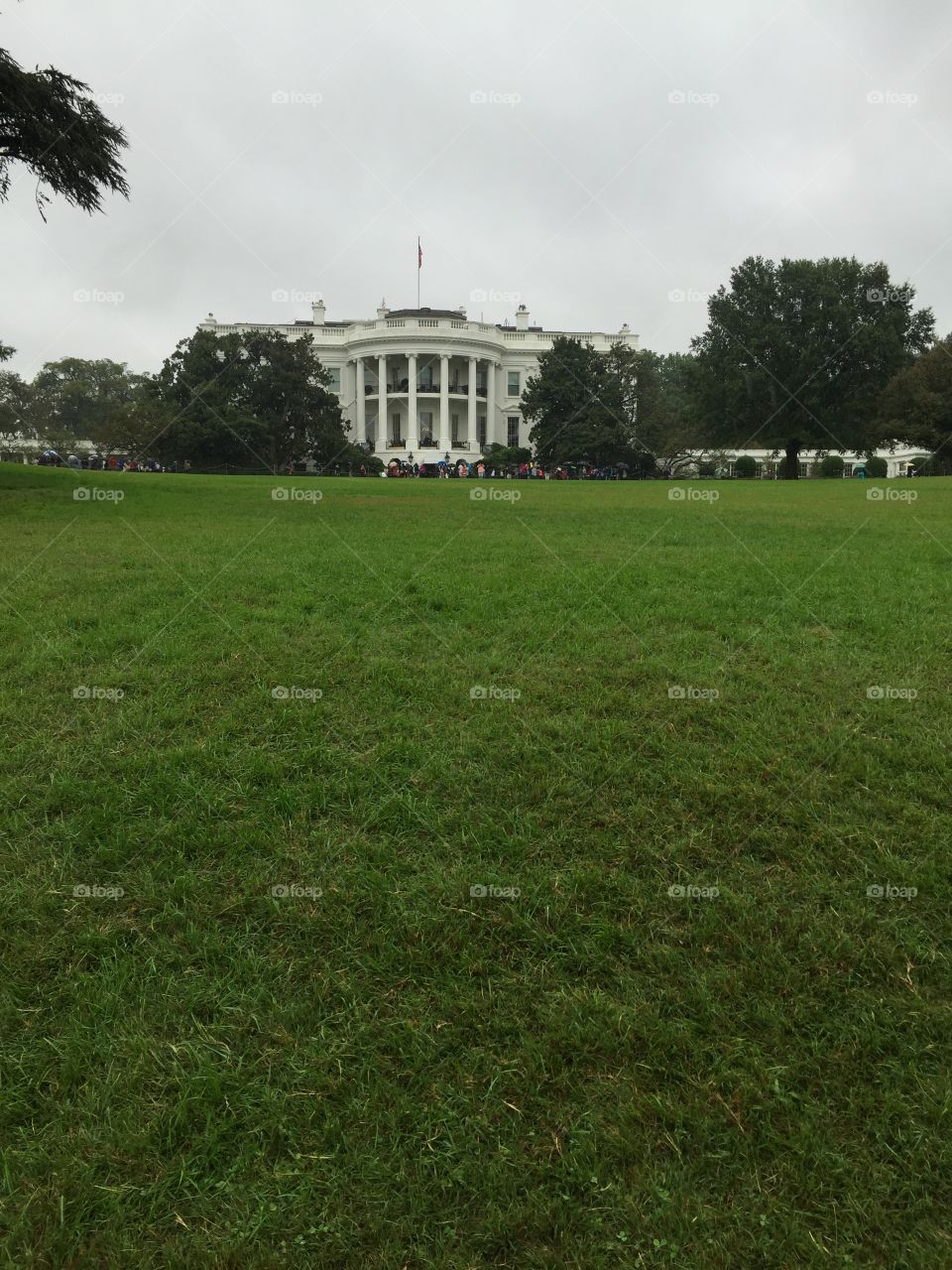 White House 