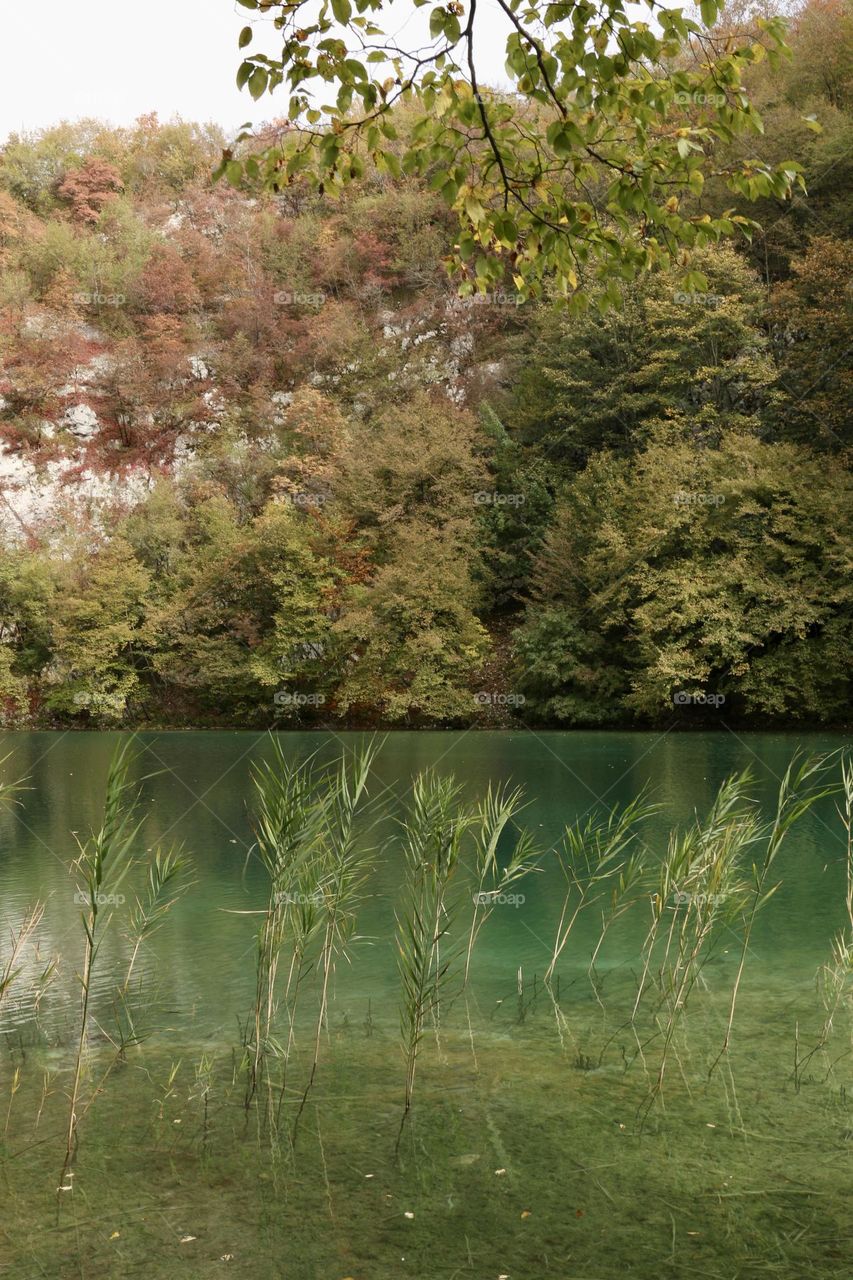 Magnifique coordination de la nature