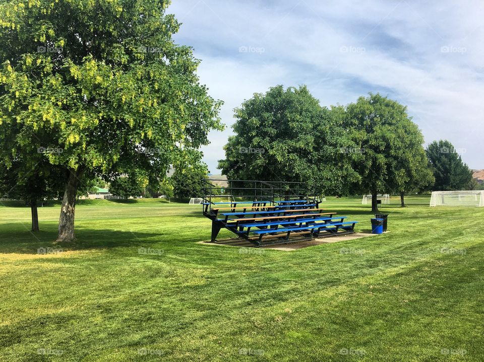 Beautiful day at the park 