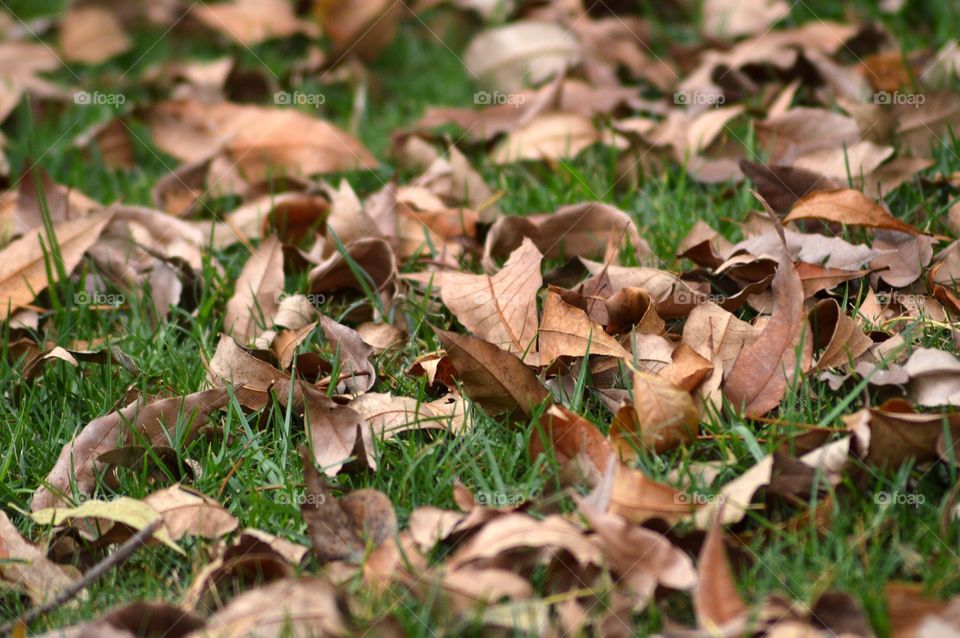 First signs of autumn