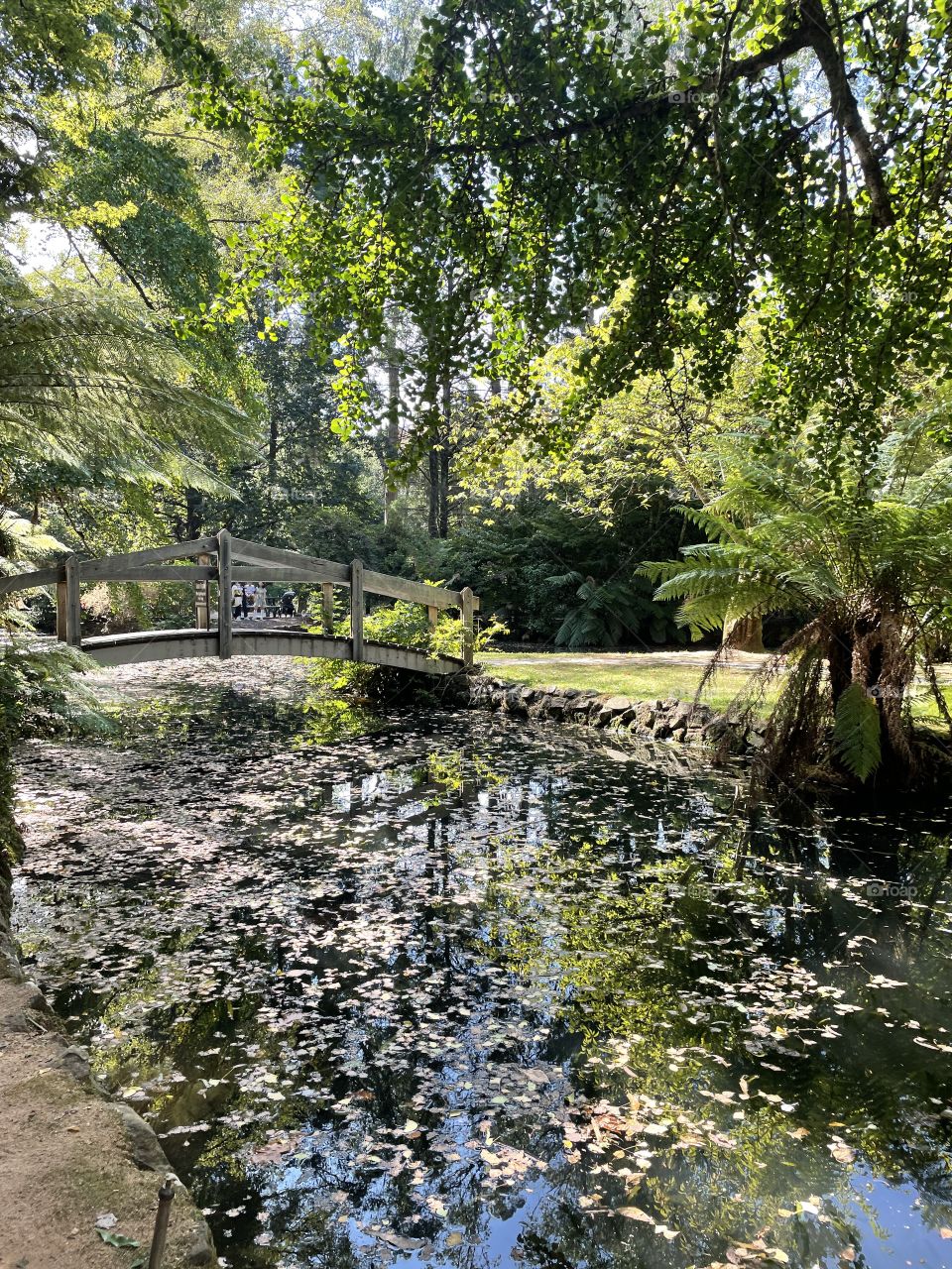 Botanical Gardens in Melbourne 