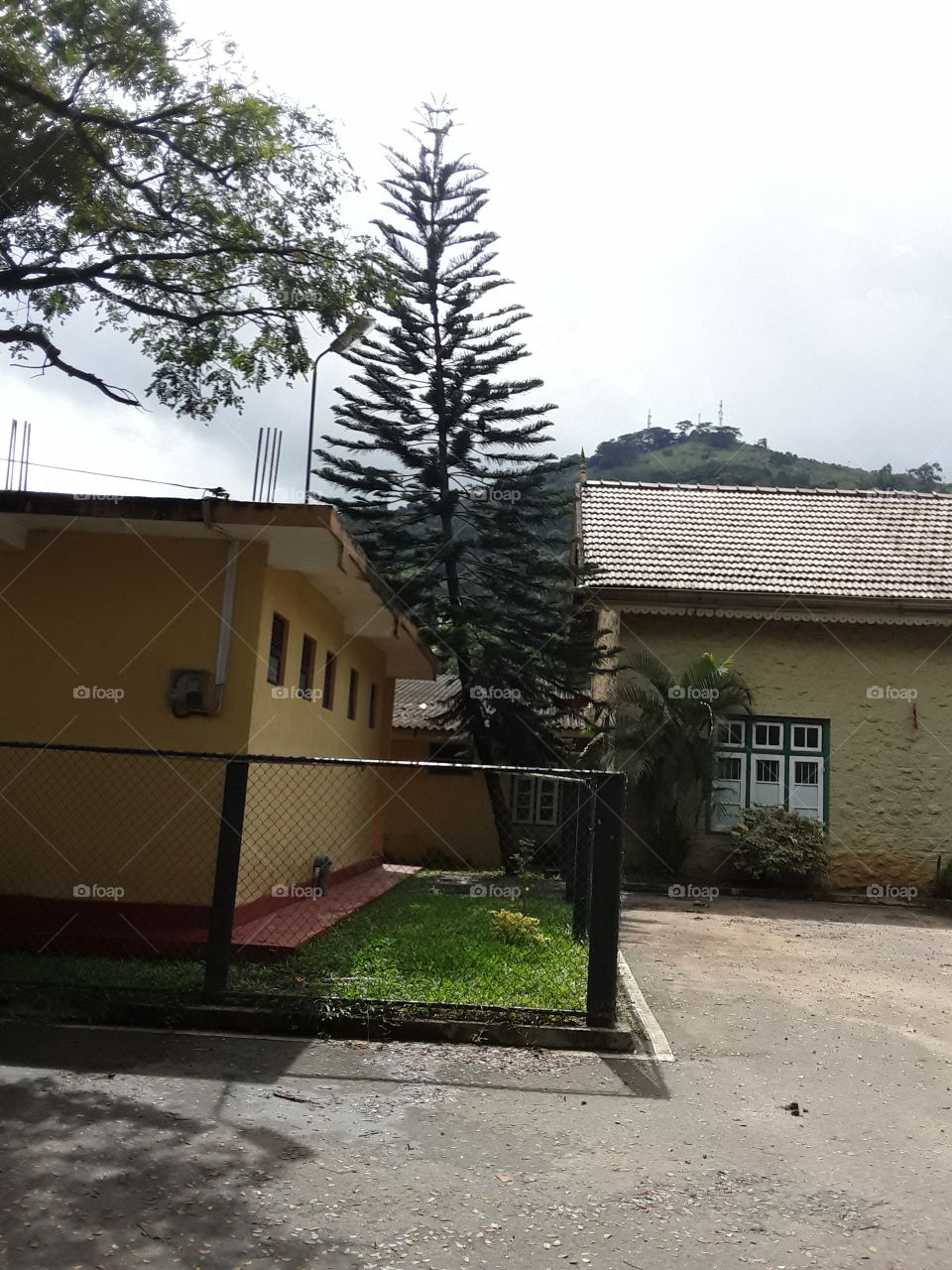this is picture of most beautiful railway station in Sri Lanka this picture has beautiful tree