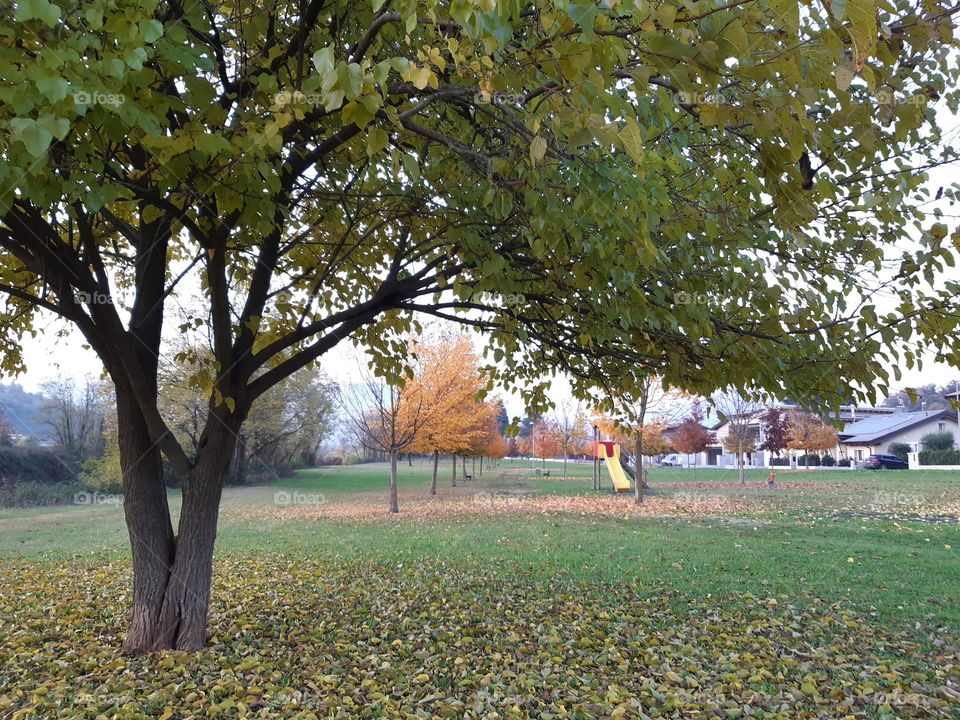 Park in Autumn