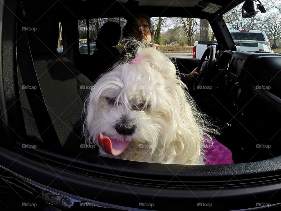 Cutest Pet in the World