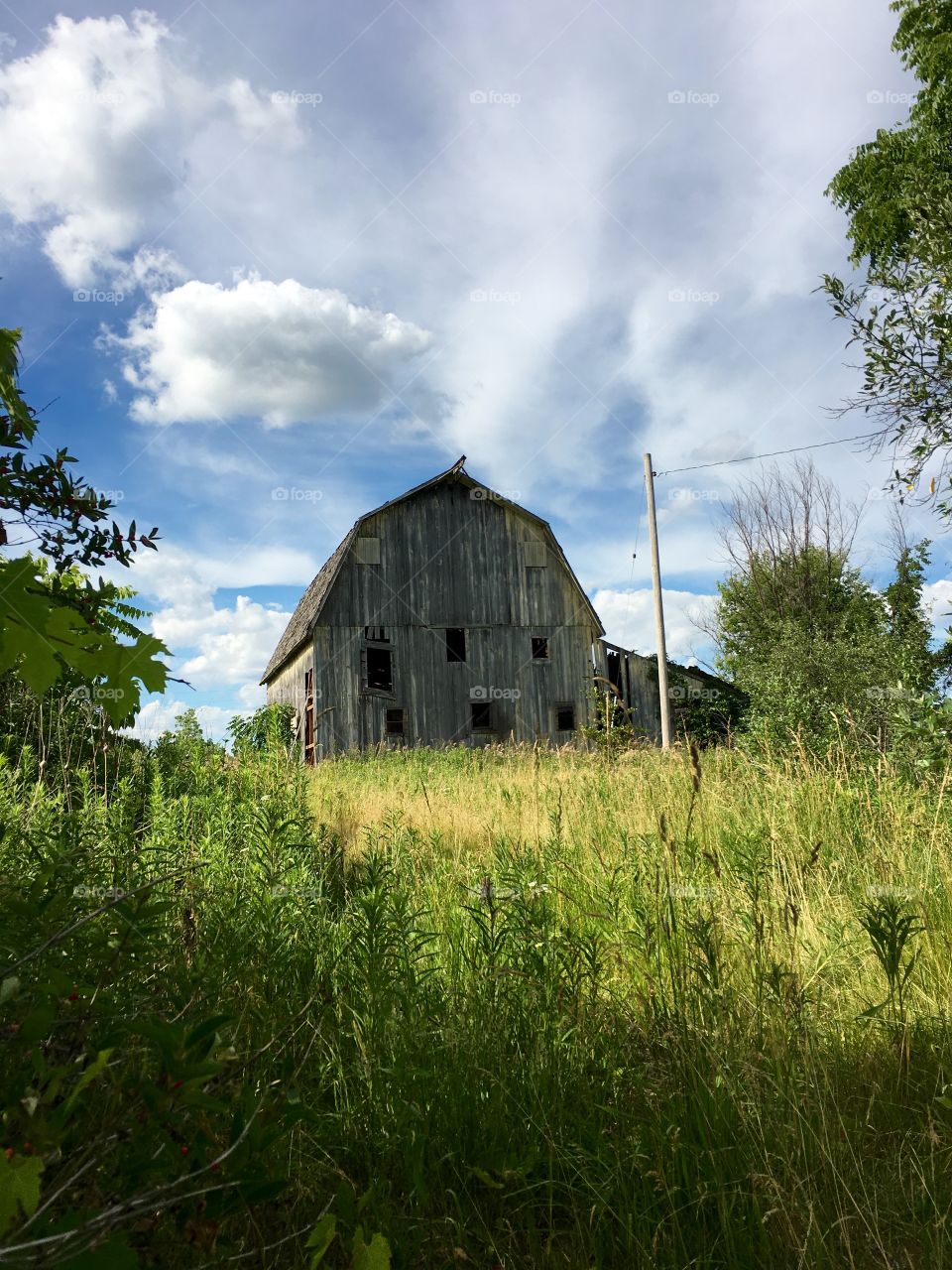 Barn in the field