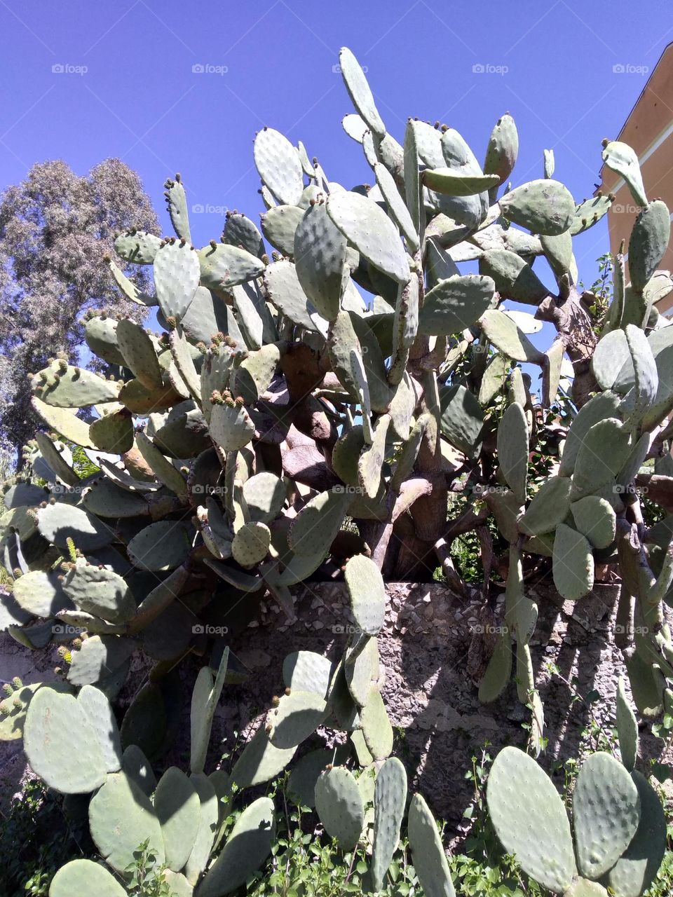 Editors' Choice - Photo of the Week