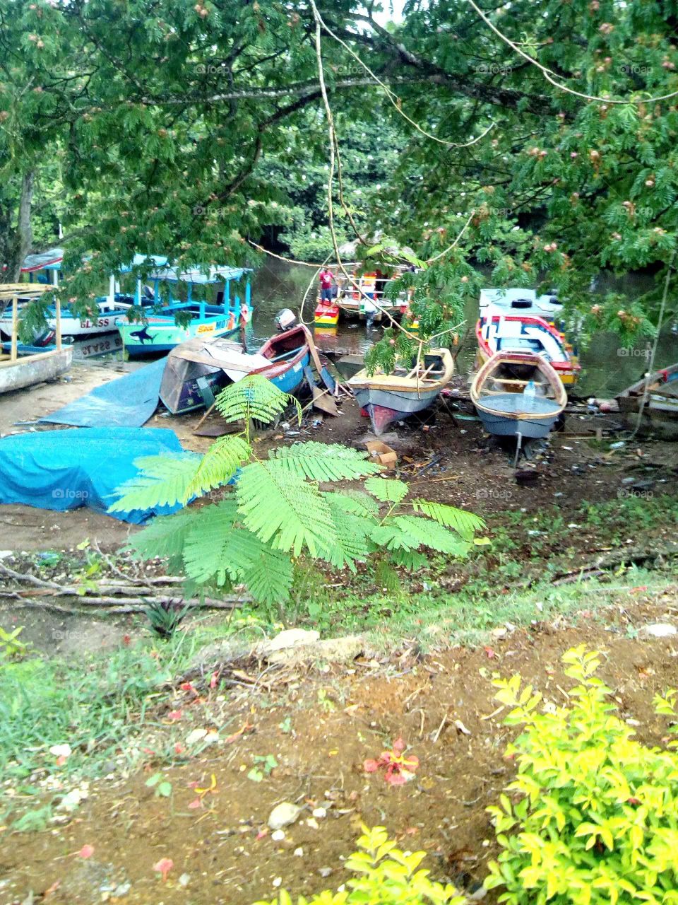 I wonder how many people take beautiful picture looking at this picture you many different things