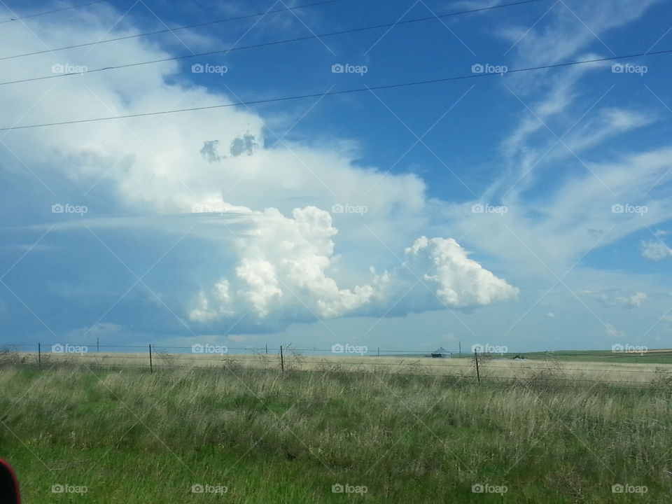 Amazing . On our way home one fluffy cloud 