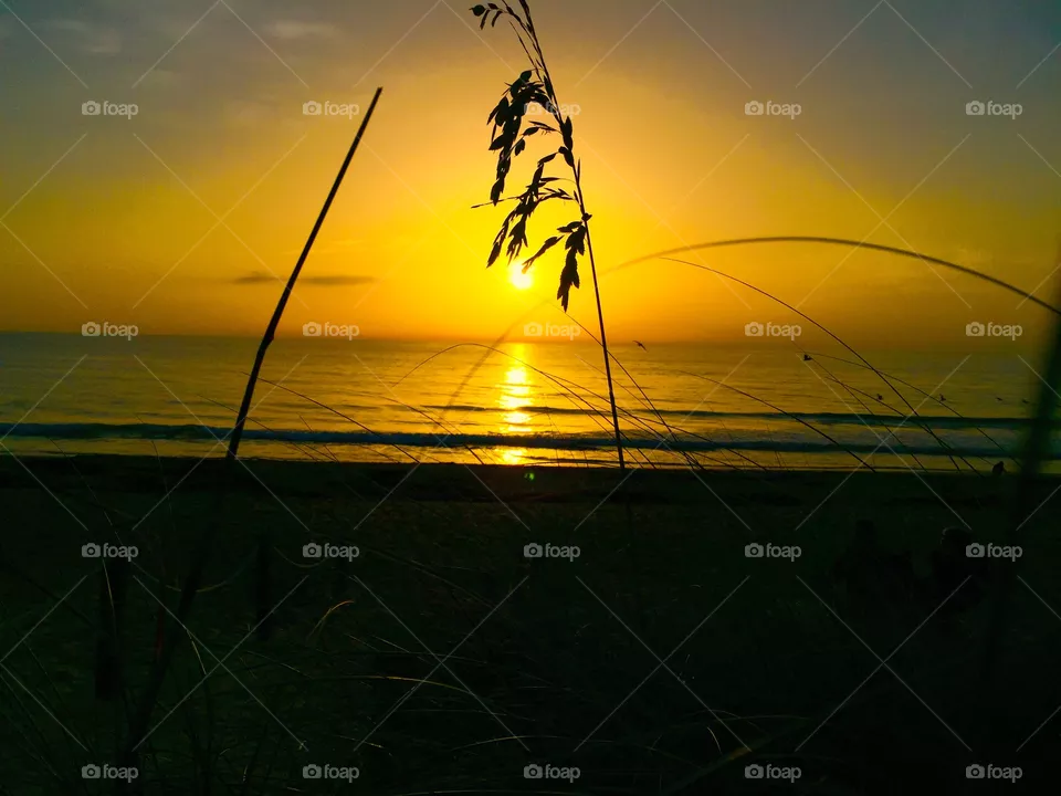 Sunrise