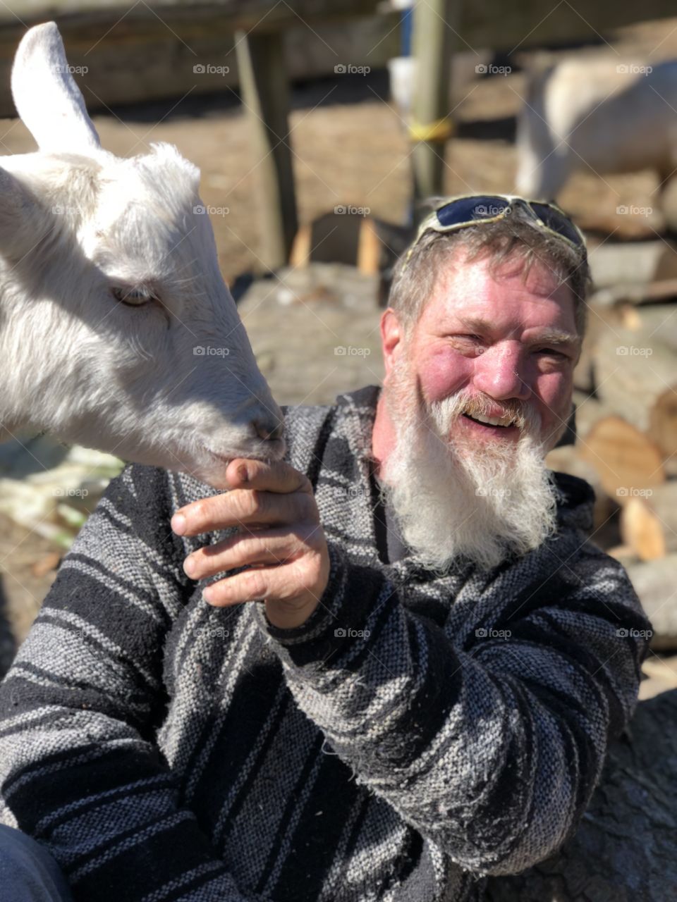 Love a goat 
