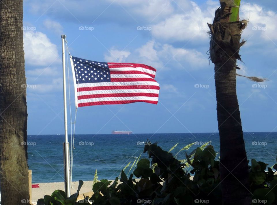 Beach flag