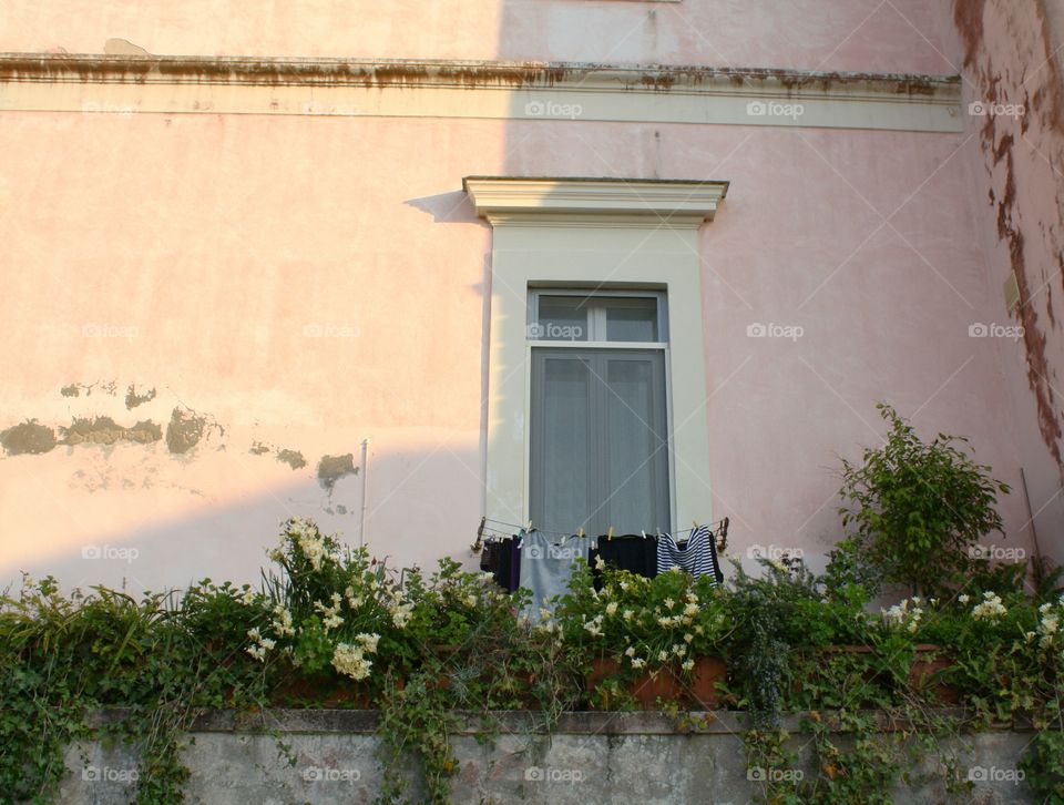 Drying laundry in front of a window among lots of flowers