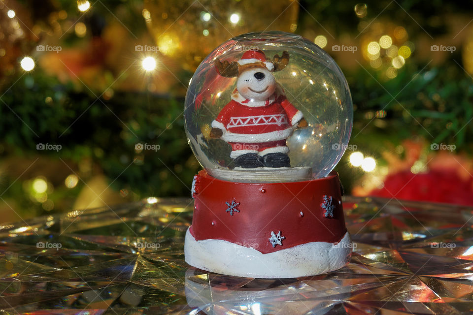 Christmas snow globe ball. Decorating Christmas dome ball before a lit Christmas tree.